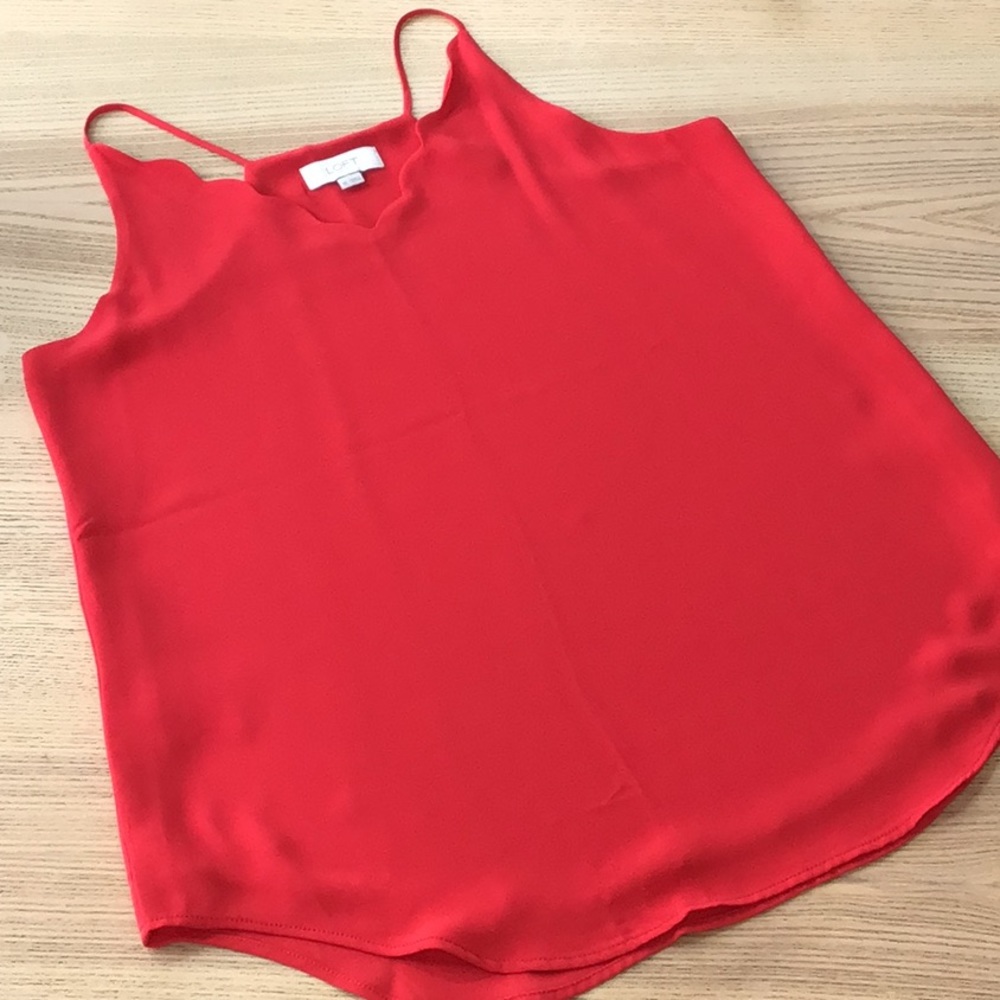 Loft scallop tank